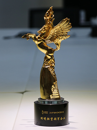 Skyco International Financial Leasing Co., Ltd. won the 